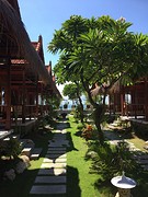 De tuin van ons hotel in Nusa Lembongan