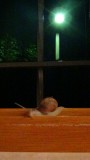 Friend!