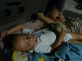 Schattig!