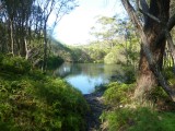 Rivier langs de free camping. Blue Pool. Onderweg naar Kiama