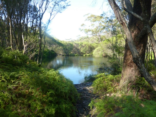Rivier langs de free camping. Blue Pool. Onderweg naar Kiama