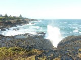 The little blowhole