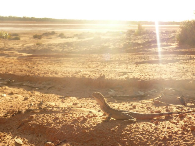 Fraser Range