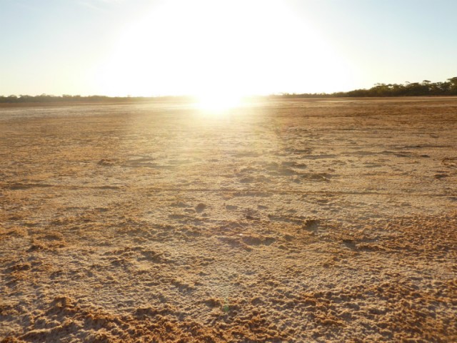 Zonsondergang in the outback