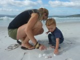 Samen schelpen zoeken