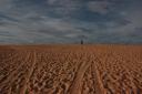 Mui ne (White Sand dunes)