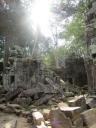 Mooie begroeide tempels @ Angkor Wat (Siem Reap)