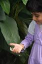 Cute kid with butterfly