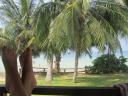 Onze bungalow met seaview!