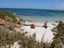 Kangoeroe wordt gevoerd op Hopetoun strand