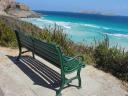 Bench with a view...