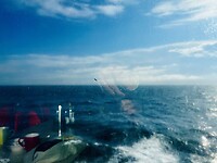 Stilleven in de zee