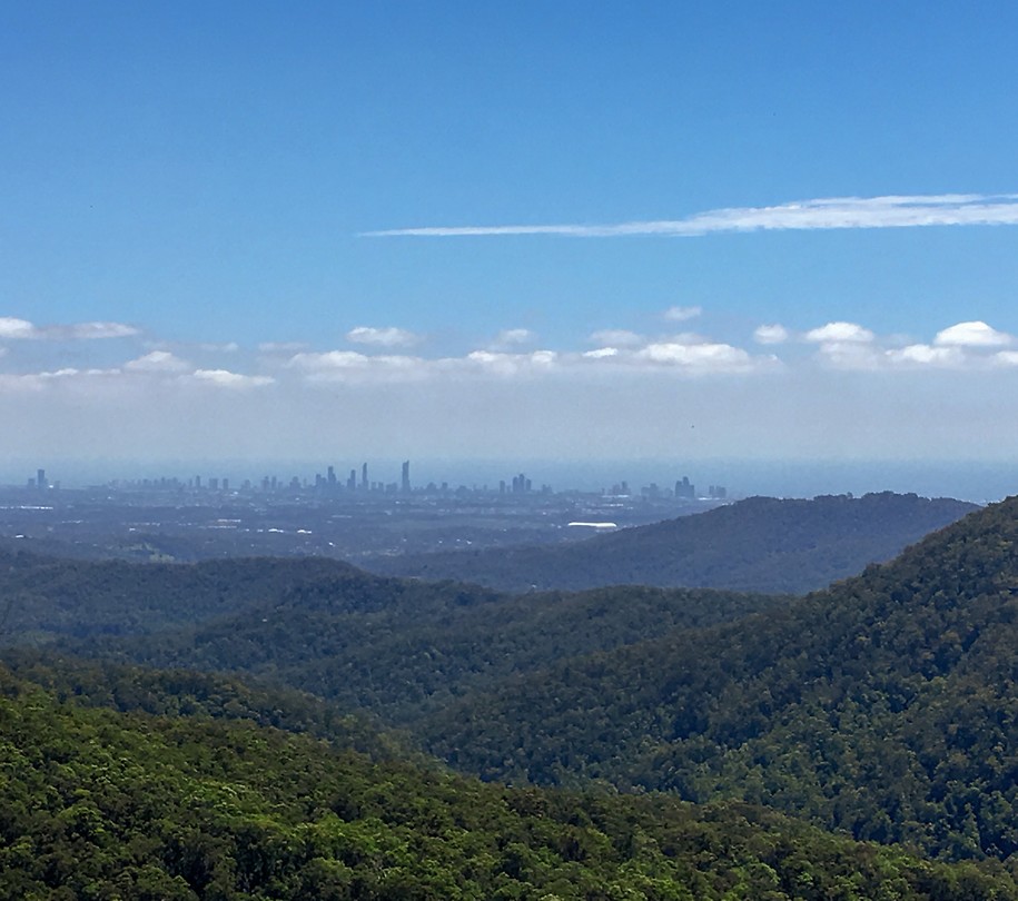 Springbrook National Park Foto She'll be apples