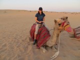Desert safari - Camel ride