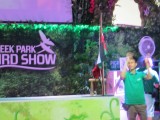 Bird show in Creek park