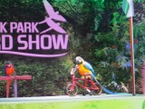 Bird show in Creek park