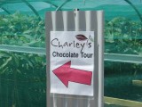 Chocolade fabriek