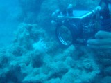 Zeiltrip - Fototoestel duikinstructor (veel beter dan mijne)