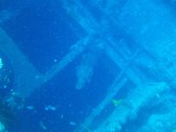 Yongala - Scheepswrak, begroeid met algen en koraal