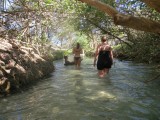 Fraser Island - Eli Creek