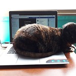 Gastschrijver op mijn reisblog, Lulu la Gata
