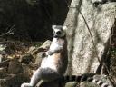 Park Anja