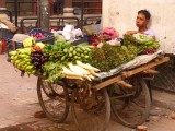 Hernieuwde kennismaking met India
