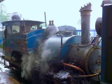 Thomas