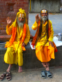 Peppi en Kokki
