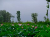 Ons uitzicht 's morgens vroeg