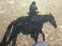 5. Te paard!