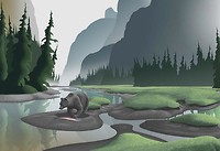 bear canada