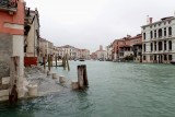 Nat Venetie
