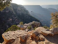 Grand Canyon, einde middag