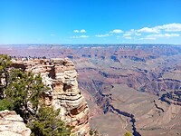 Waaghalzen op een rots bij de Grand Canyon