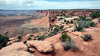 Canyonlands canyon