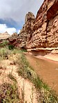 Beekje nabij het Capitol Reef