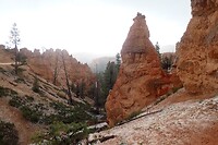 Bryce net na de hagelbui