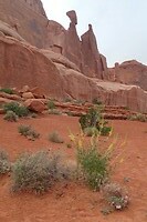 Arches Park Avenue rotsen