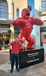 De gorilla in het rood