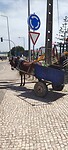 Ezel met wagen
