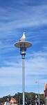 Skagen