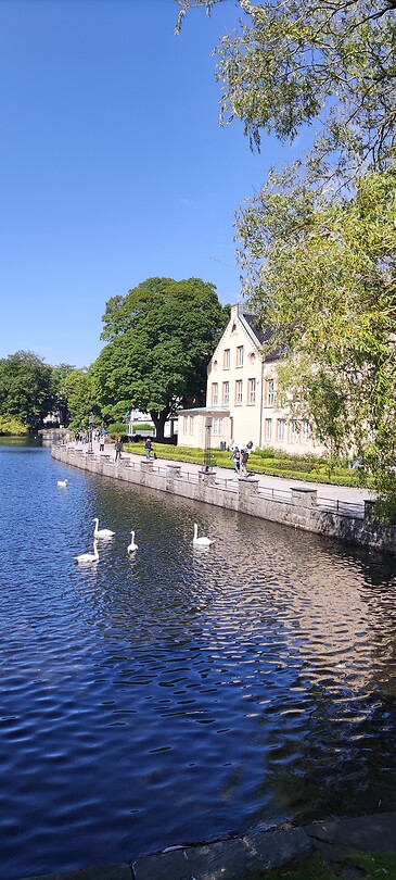 Stavanger