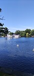 Stavanger