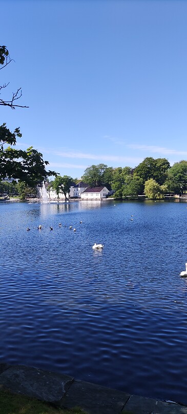 Stavanger