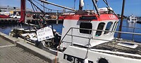 Een vissersboot in de haven