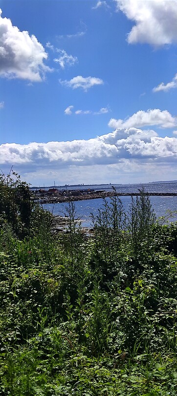 De kustlijn in Mölle