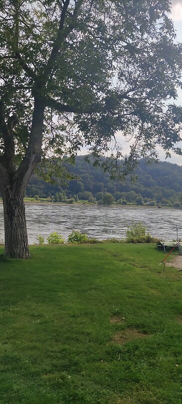 Rivier de Rijn bij Boppard