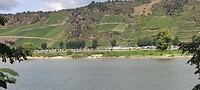 Camping Sonneneck bij Boppard