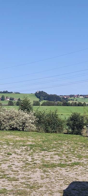 IMG_20240823_162343